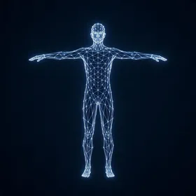 3D wireframe figure